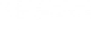 The Natoma Company